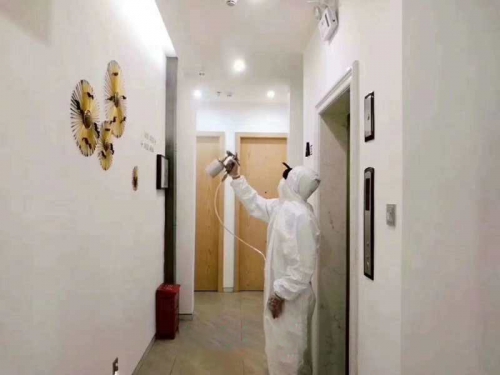 關(guān)于除甲醛的幾個真相，你不得不知！